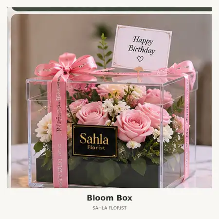 Bloom Box Arcamanik
